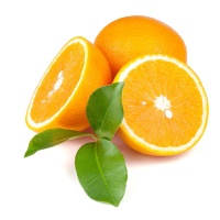 Valencia Orange