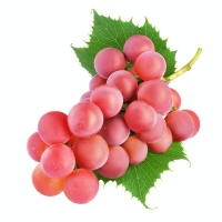Black Muscat