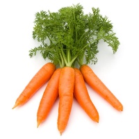Organic Carrot