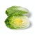 Oleracea Cabbage