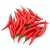 Tabasco pepper